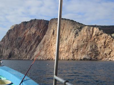 Прикрепленное изображение: IMG_0461.JPG